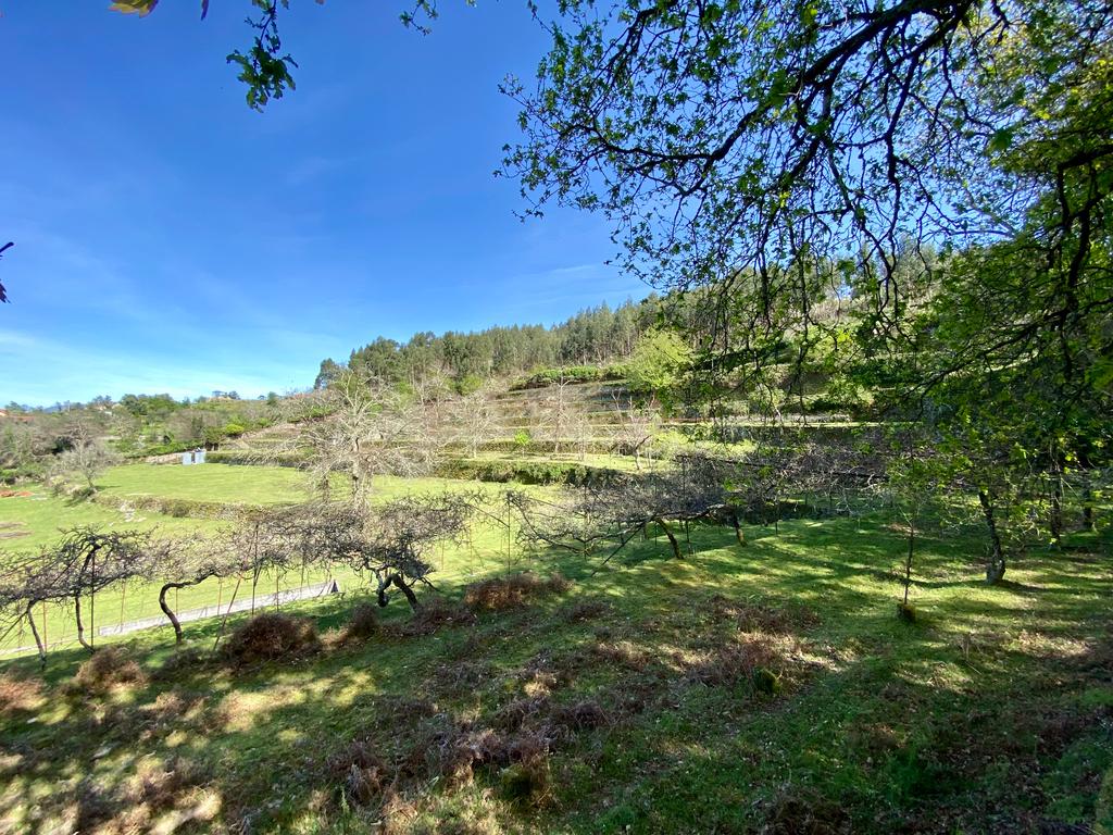 Quinta em Sobradelo da Goma, Povoa de Lanhoso (Permuta) - Image 64