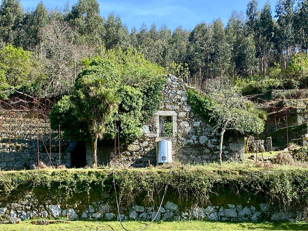 Quinta em Sobradelo da Goma, Povoa de Lanhoso (Permuta) - Image 56