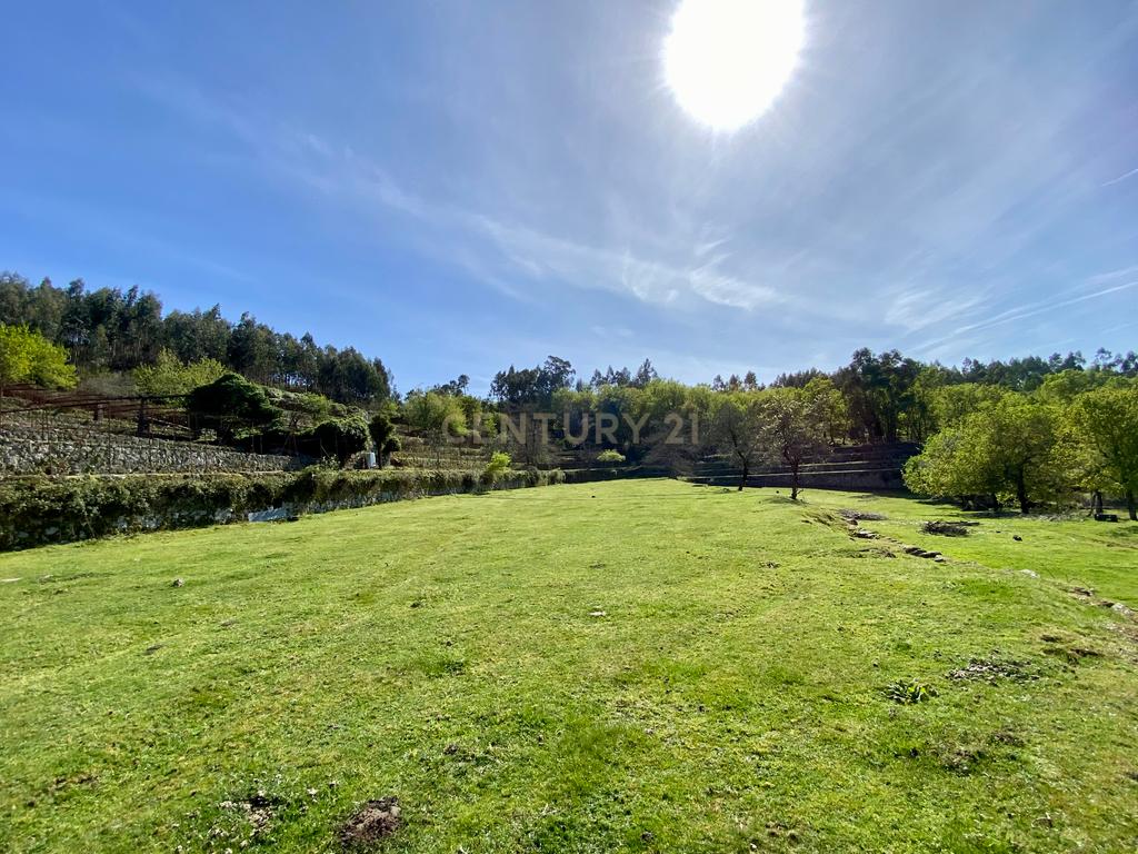Quinta em Sobradelo da Goma, Povoa de Lanhoso (Permuta) - Image 67