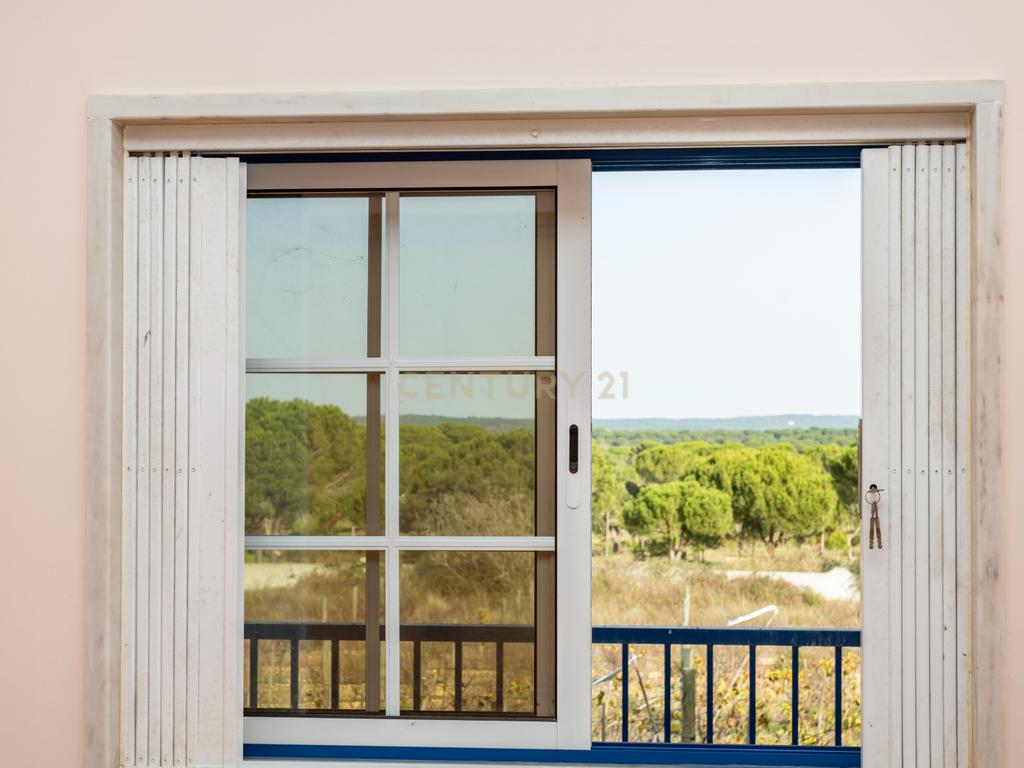 Moradia T4 em Herdade de 9,5 ha - Image 43