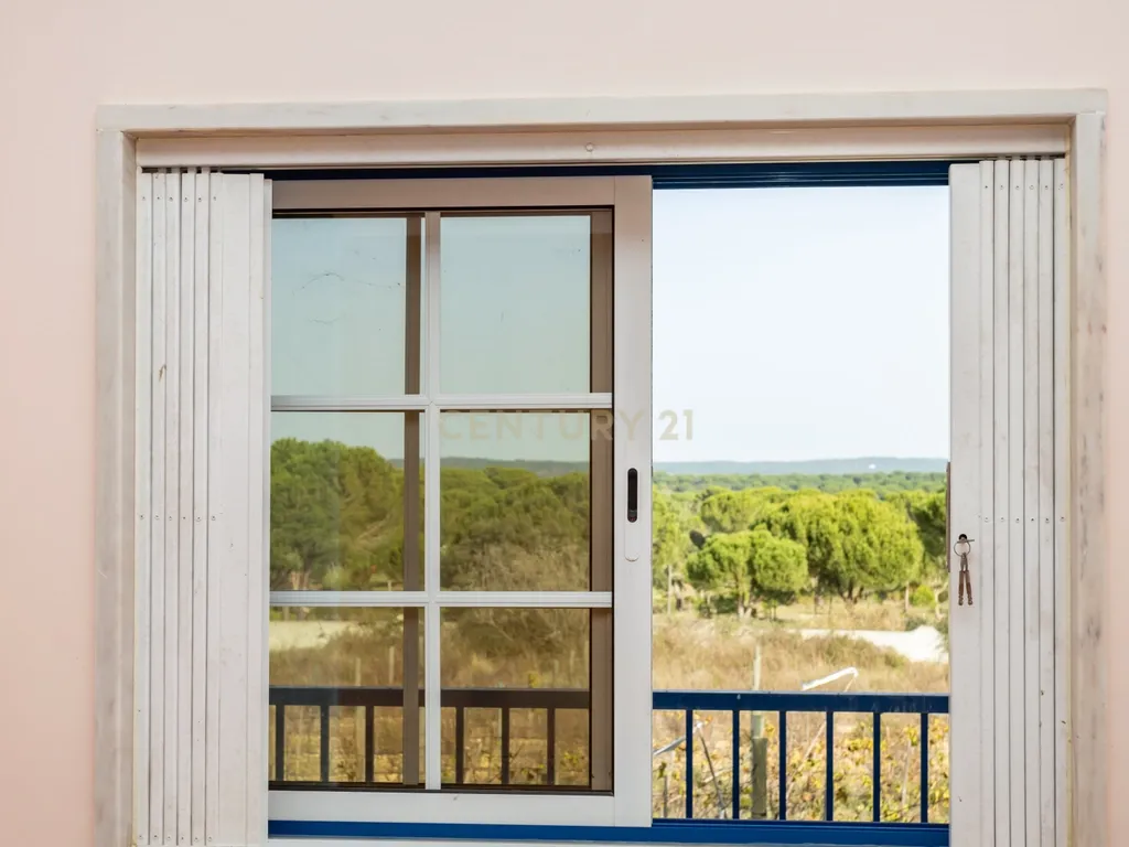 Moradia T4 em Herdade de 9,5 ha - Image 43