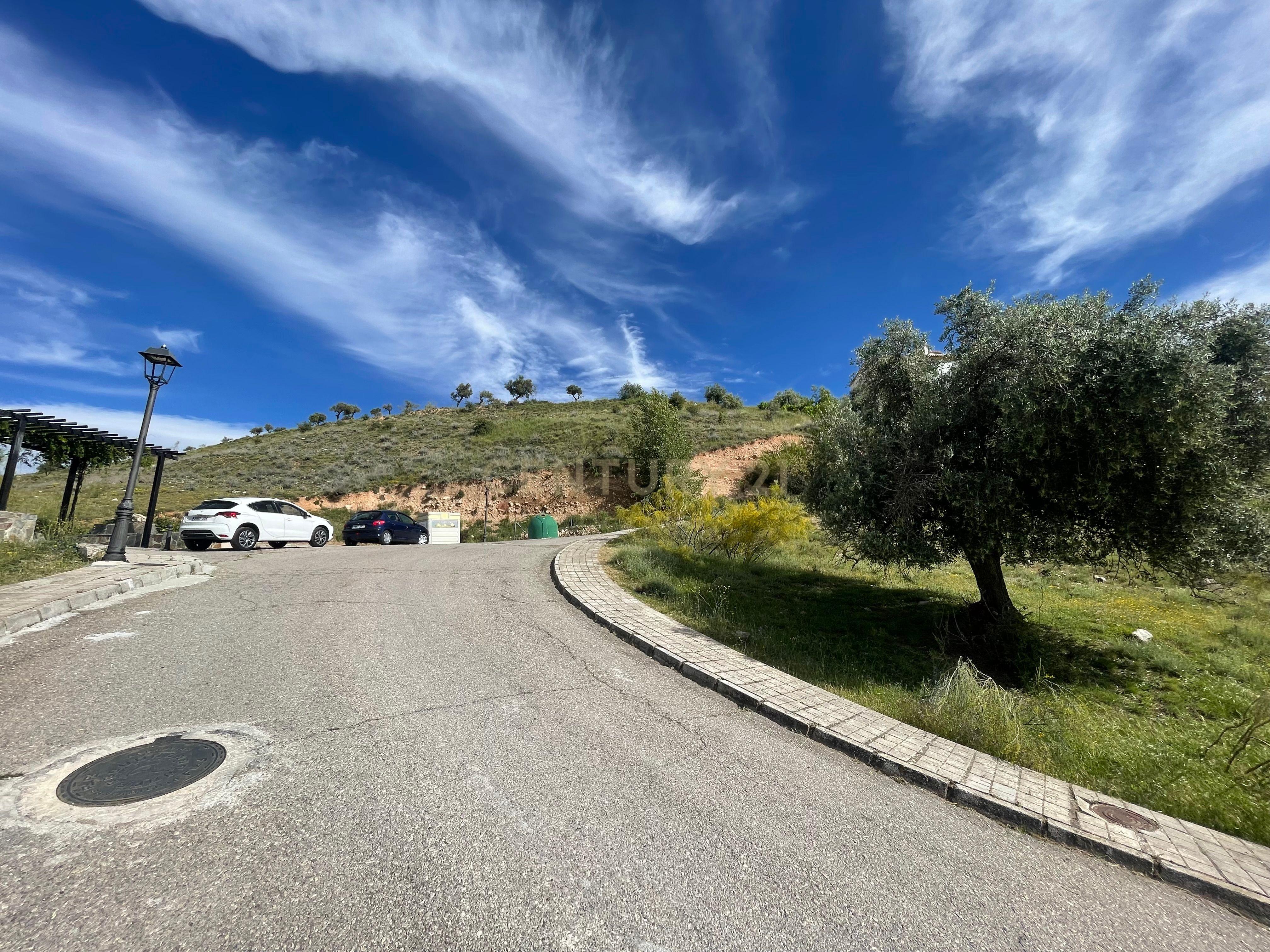 undefined - Image 4