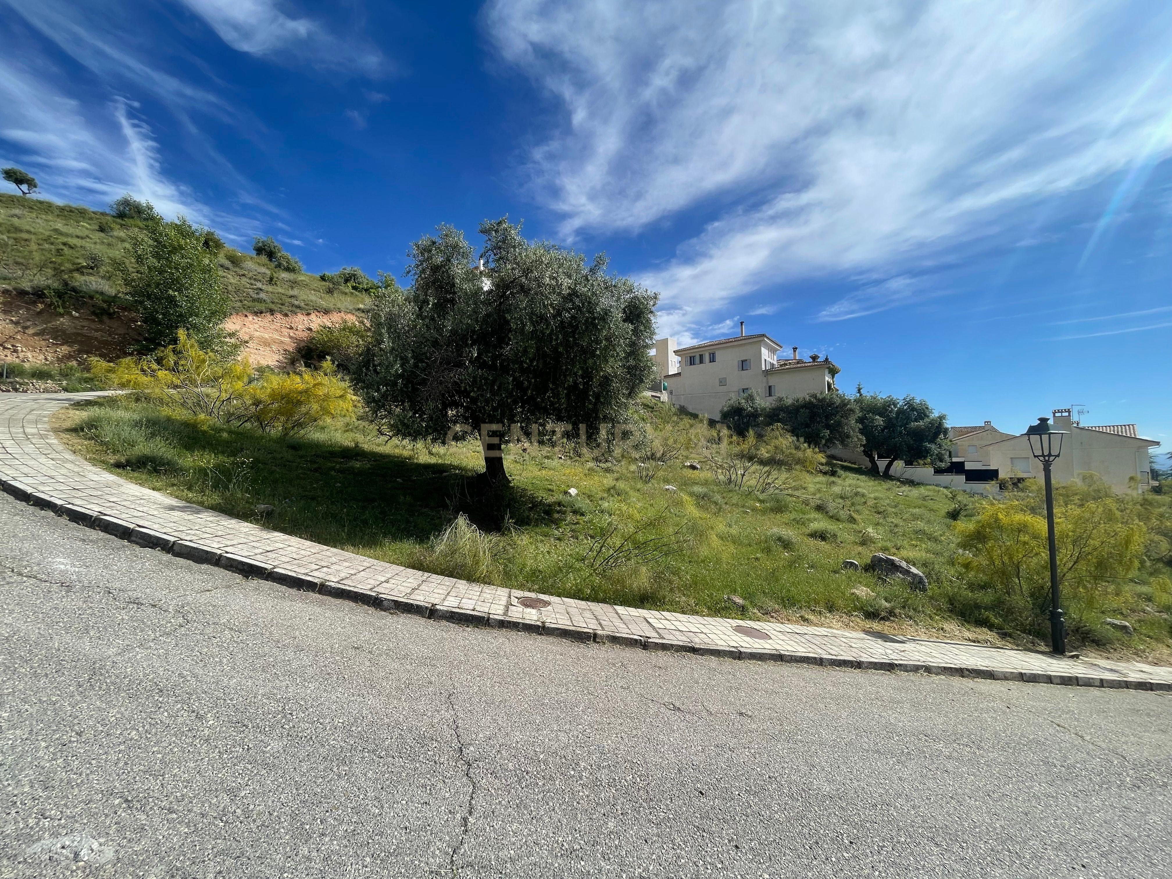 undefined - Image 1
