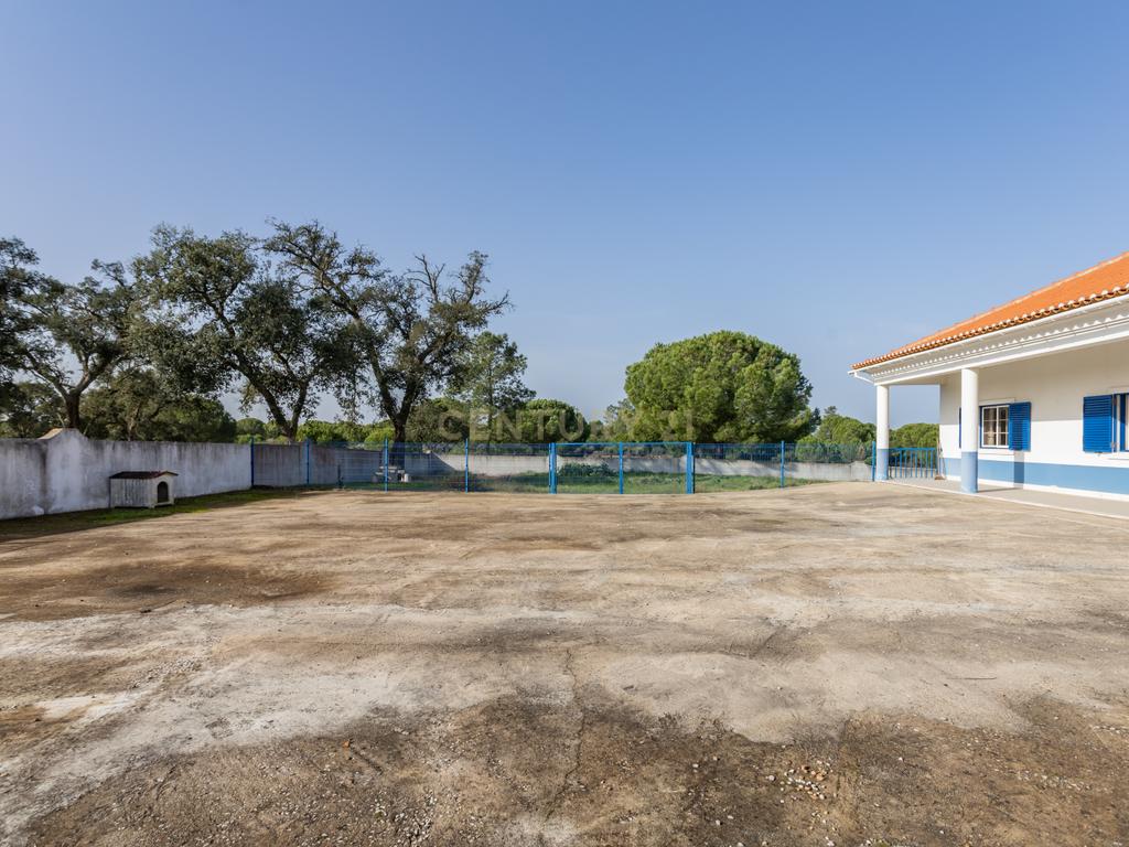Moradia T4 em Herdade de 9,5 ha - Image 3
