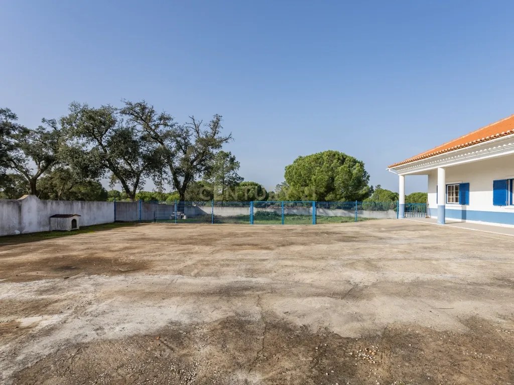 Moradia T4 em Herdade de 9,5 ha - Image 3