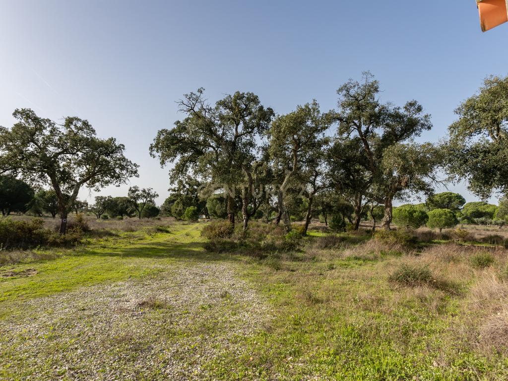 Moradia T4 em Herdade de 9,5 ha - Image 50