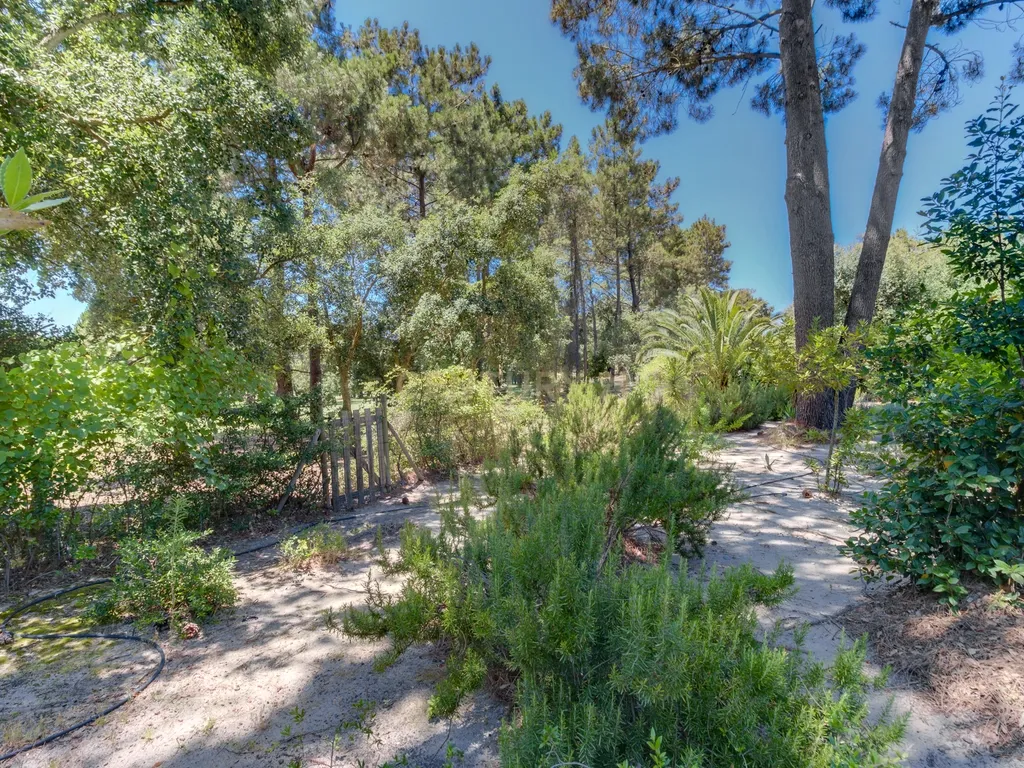 Quinta do Peru Golf & Country Club - Image 41