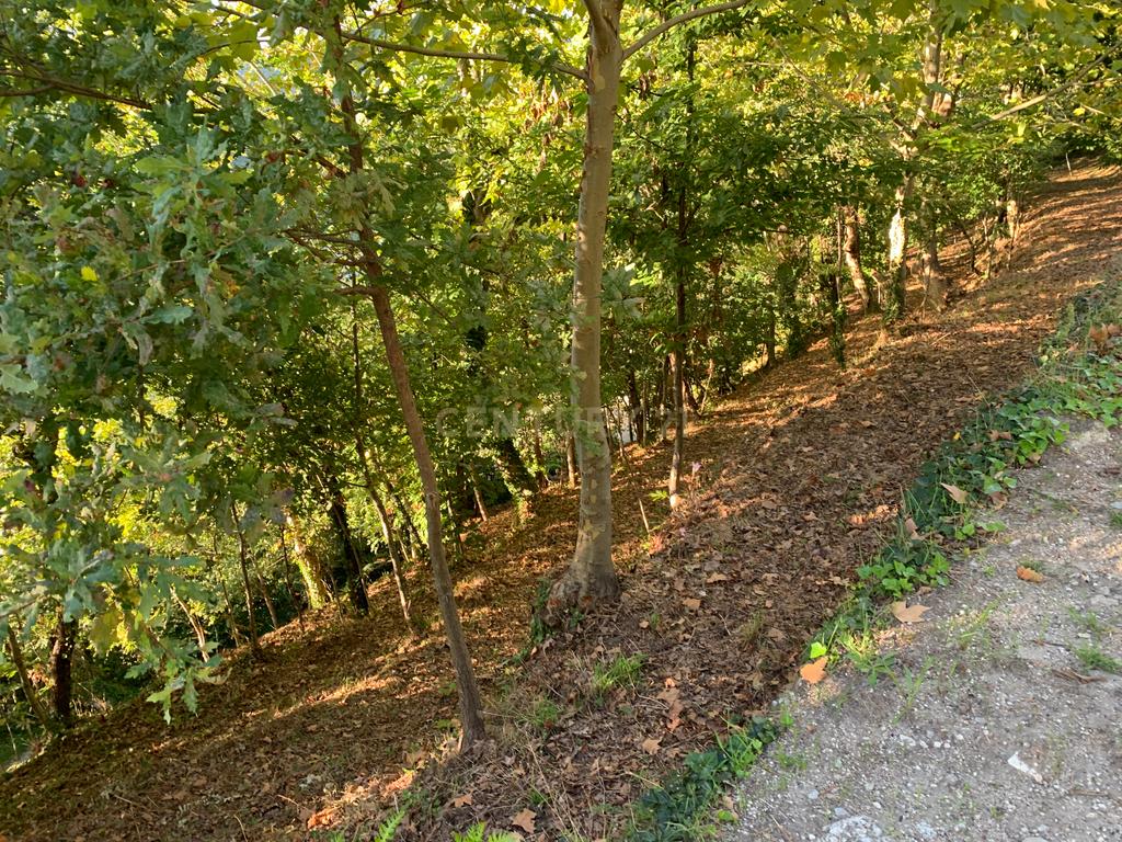 Terreno com 2.240m2 ² com vista deslumbrantes para o rio no Gerês - Image 13