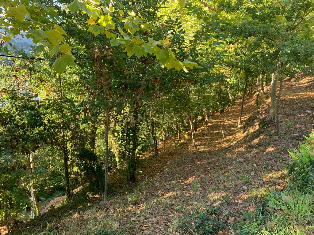 Terreno com 2.240m2 ² com vista deslumbrantes para o rio no Gerês - Image 3