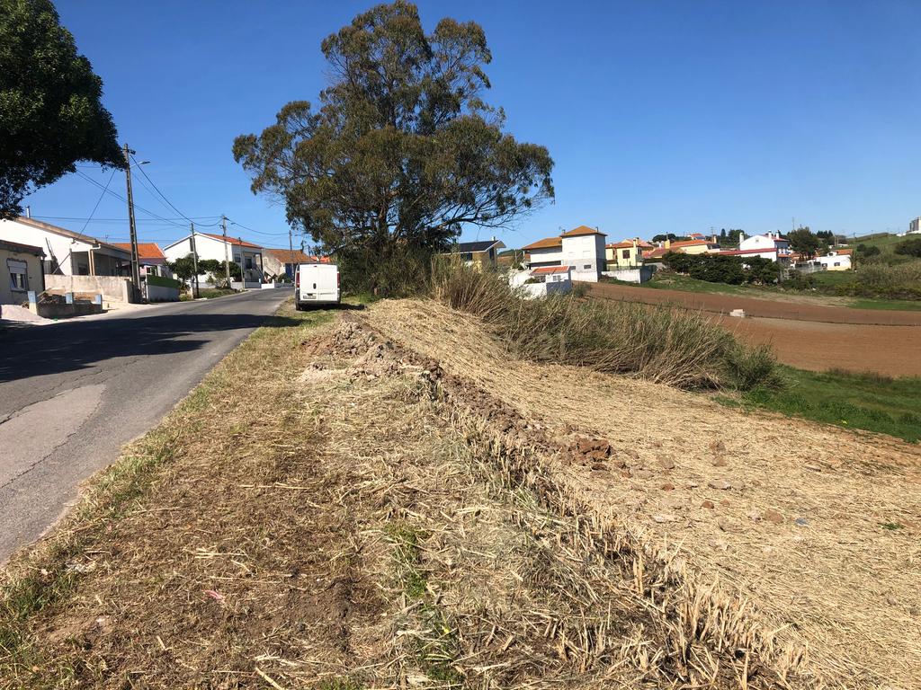 Vende-se Terreno Rustico Em Vale Medo - Lourinhã - Image 2