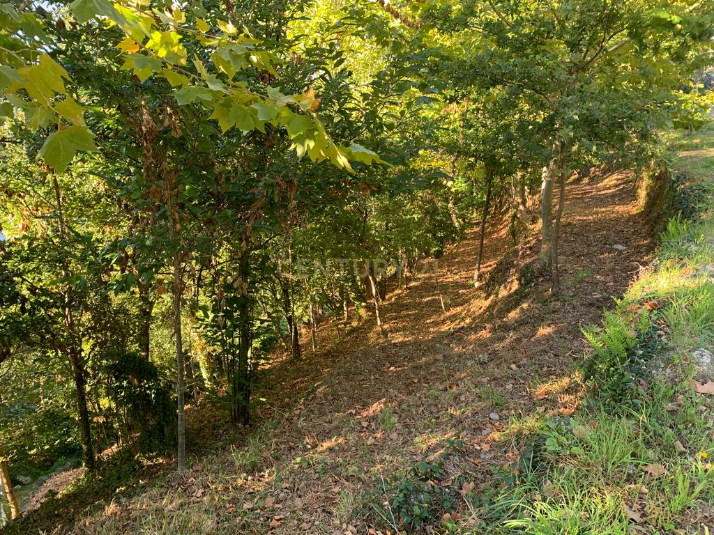 Terreno com 2.240m2 ² com vista deslumbrantes para o rio no Gerês - Image 4