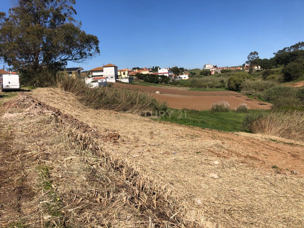 Vende-se Terreno Rustico Em Vale Medo - Lourinhã - Image 3