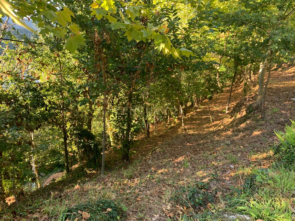 Terreno com 2.240m2 ² com vista deslumbrantes para o rio no Gerês - Image 14