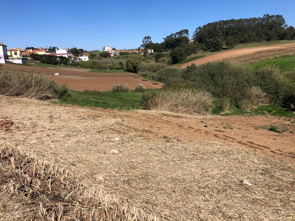 Vende-se Terreno Rustico Em Vale Medo - Lourinhã - Image 9