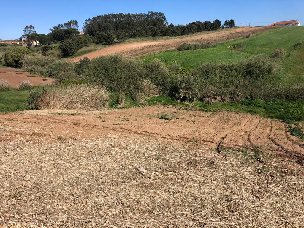 Vende-se Terreno Rustico Em Vale Medo - Lourinhã - Image 5