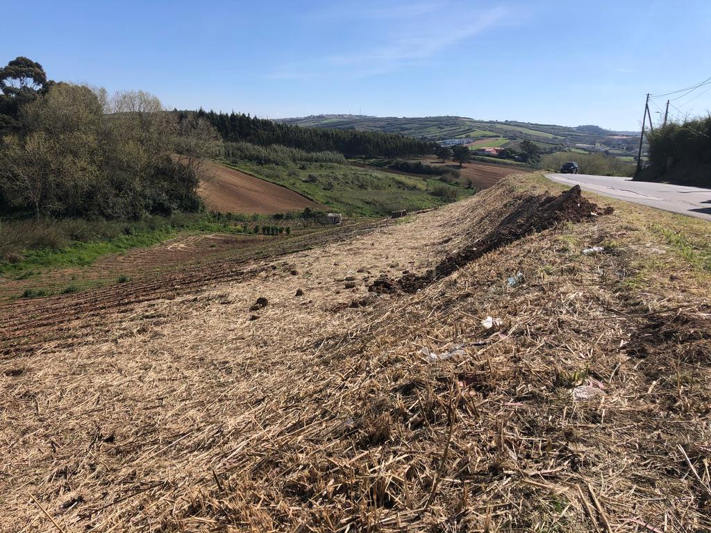Vende-se Terreno Rustico Em Vale Medo - Lourinhã - Image 7