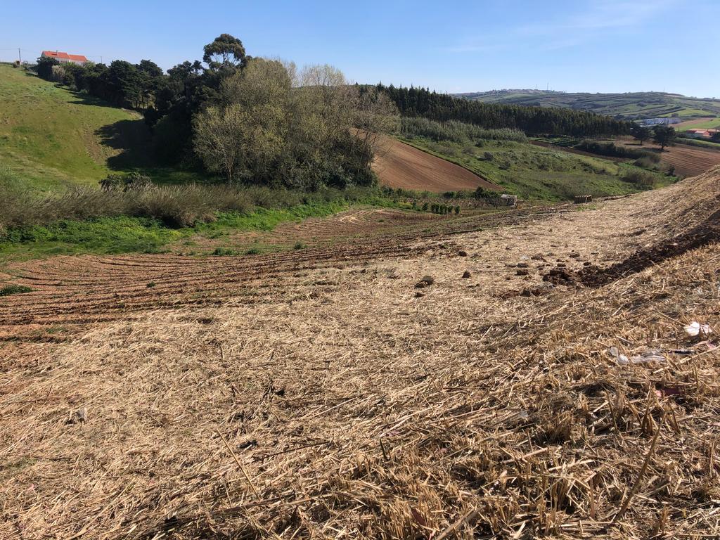 Vende-se Terreno Rustico Em Vale Medo - Lourinhã - Image 8