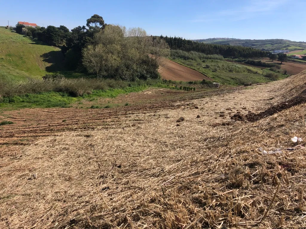 Vende-se Terreno Rustico Em Vale Medo - Lourinhã - Image 8