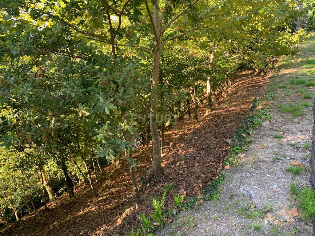 Terreno com 2.240m2 ² com vista deslumbrantes para o rio no Gerês - Image 8