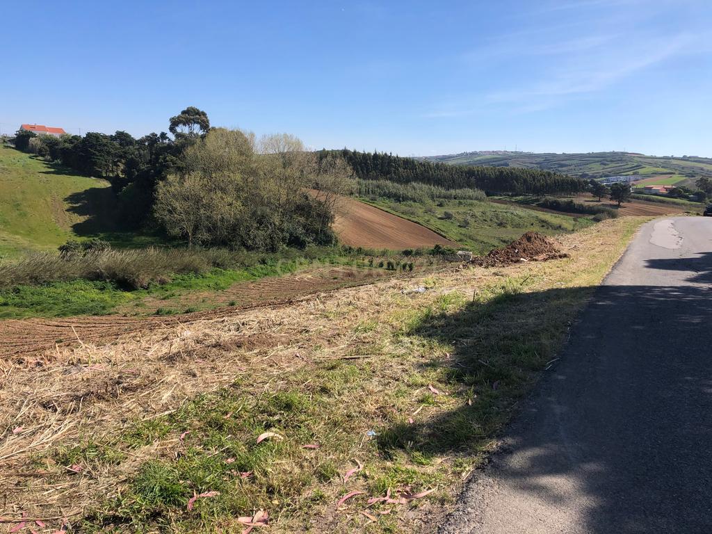 Vende-se Terreno Rustico Em Vale Medo - Lourinhã - Image 1
