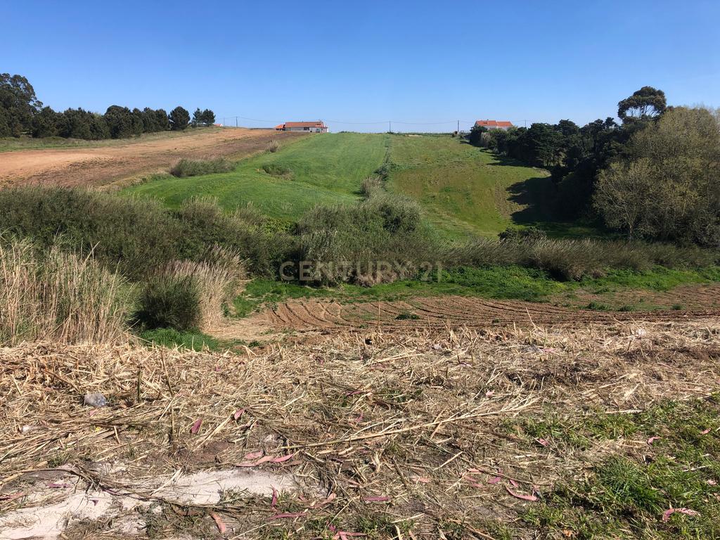 Vende-se Terreno Rustico Em Vale Medo - Lourinhã - Image 10