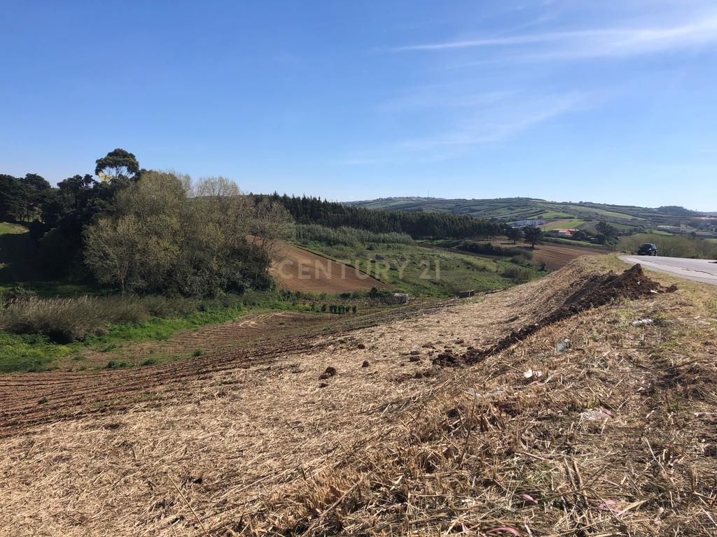 Vende-se Terreno Rustico Em Vale Medo - Lourinhã - Image 12