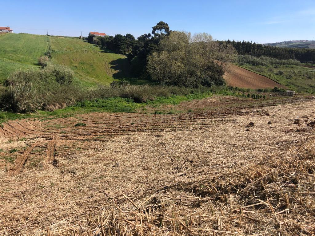Vende-se Terreno Rustico Em Vale Medo - Lourinhã - Image 13