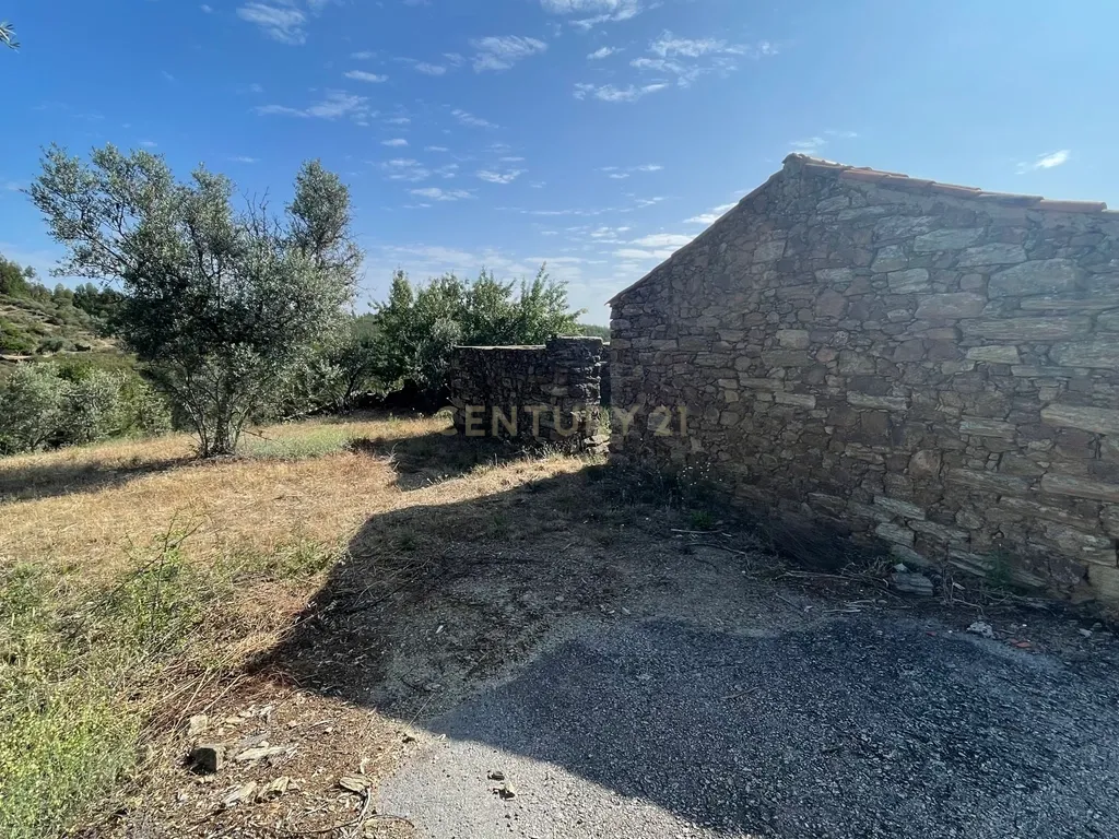 Terreno agrícola | Cebolais de Cima, Castelo Branco - Image 11