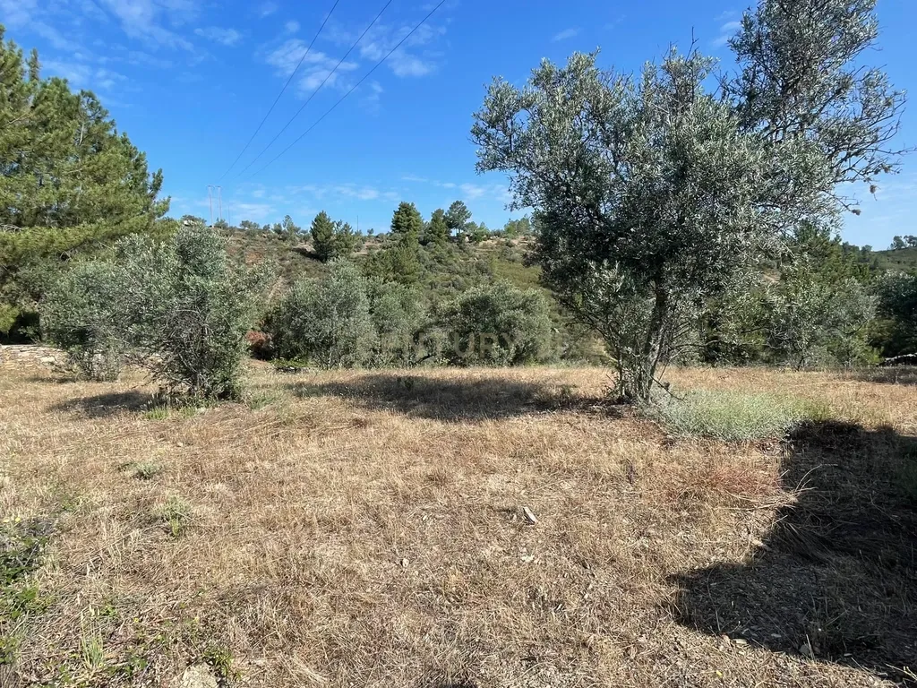 Terreno agrícola | Cebolais de Cima, Castelo Branco - Image 9
