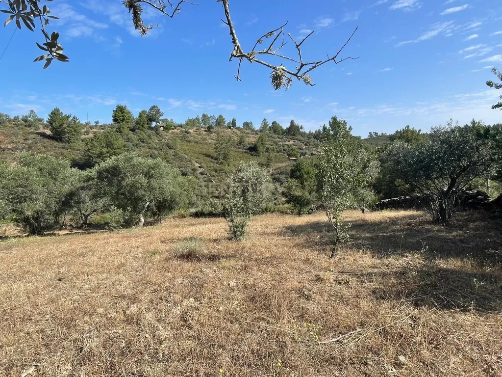 Terreno agrícola | Cebolais de Cima, Castelo Branco - Image 10