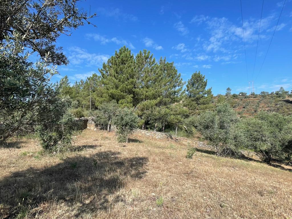 Terreno agrícola | Cebolais de Cima, Castelo Branco - Image 7