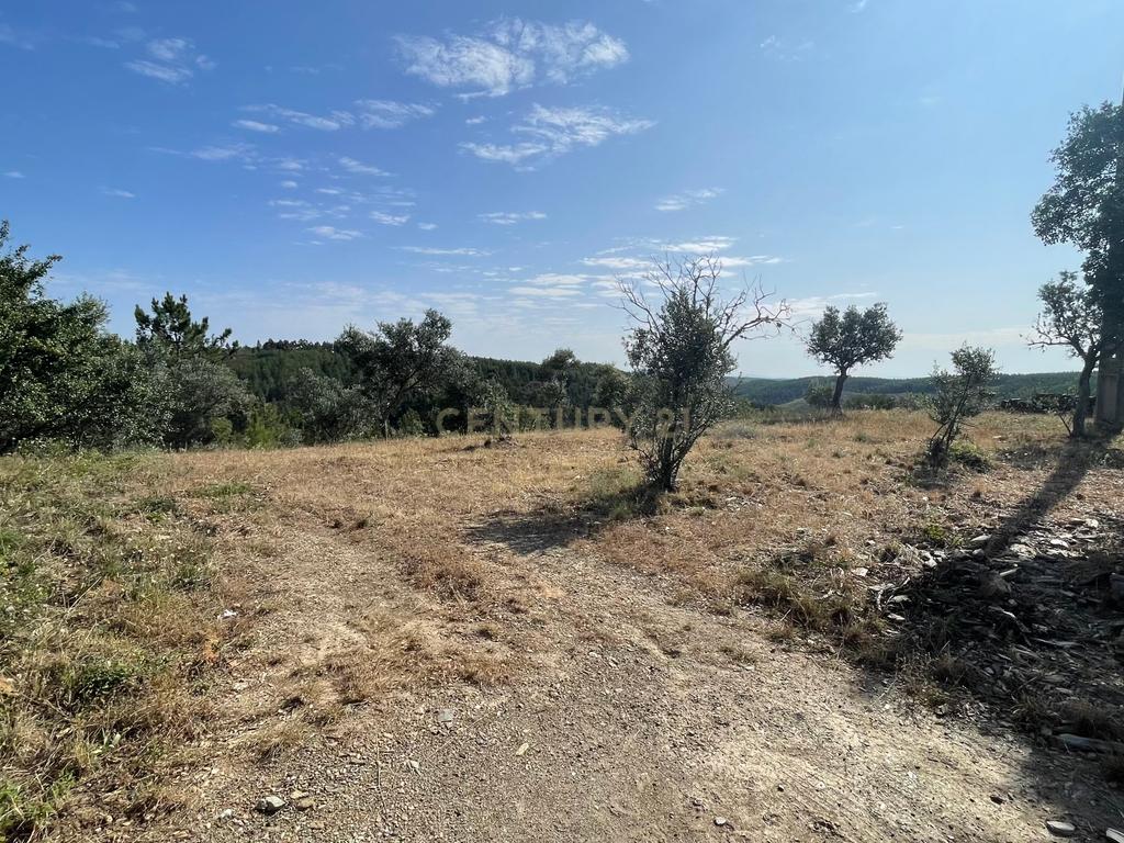 Terreno agrícola | Cebolais de Cima, Castelo Branco - Image 3