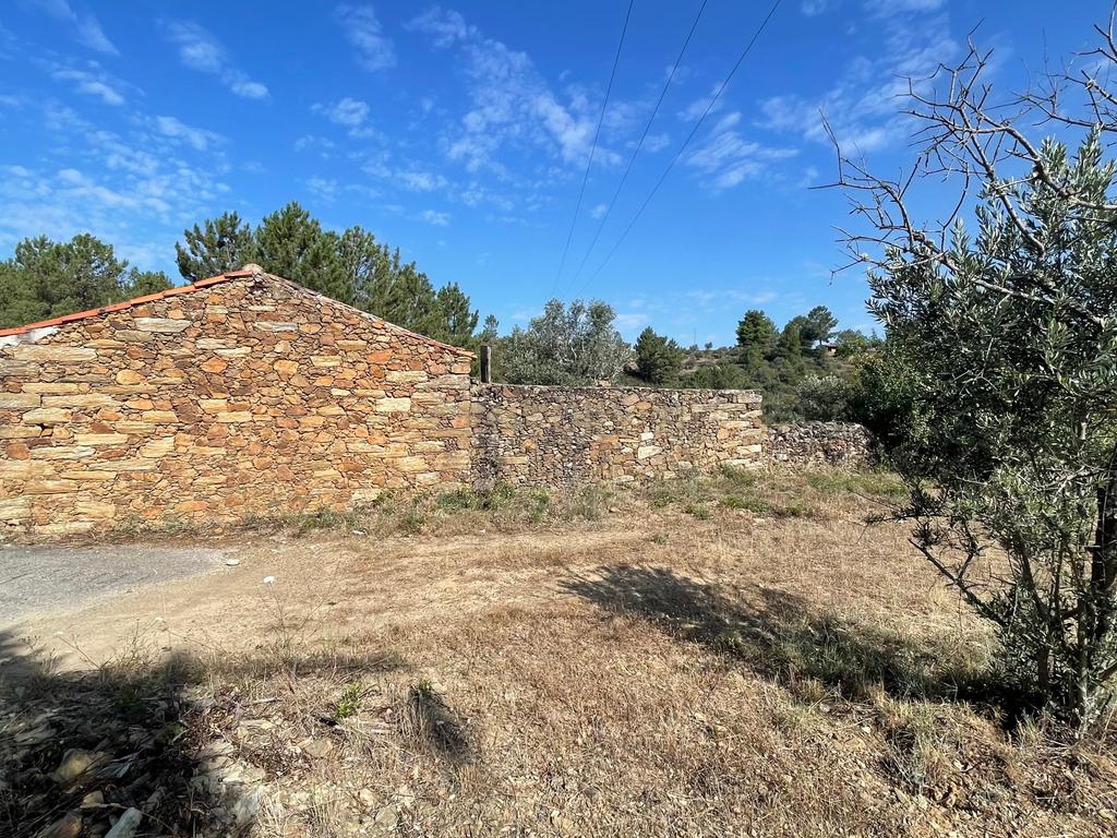 Terreno agrícola | Cebolais de Cima, Castelo Branco - Image 4