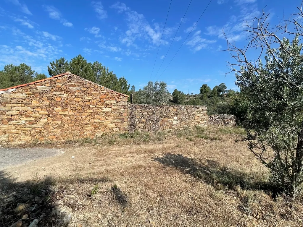 Terreno agrícola | Cebolais de Cima, Castelo Branco - Image 4