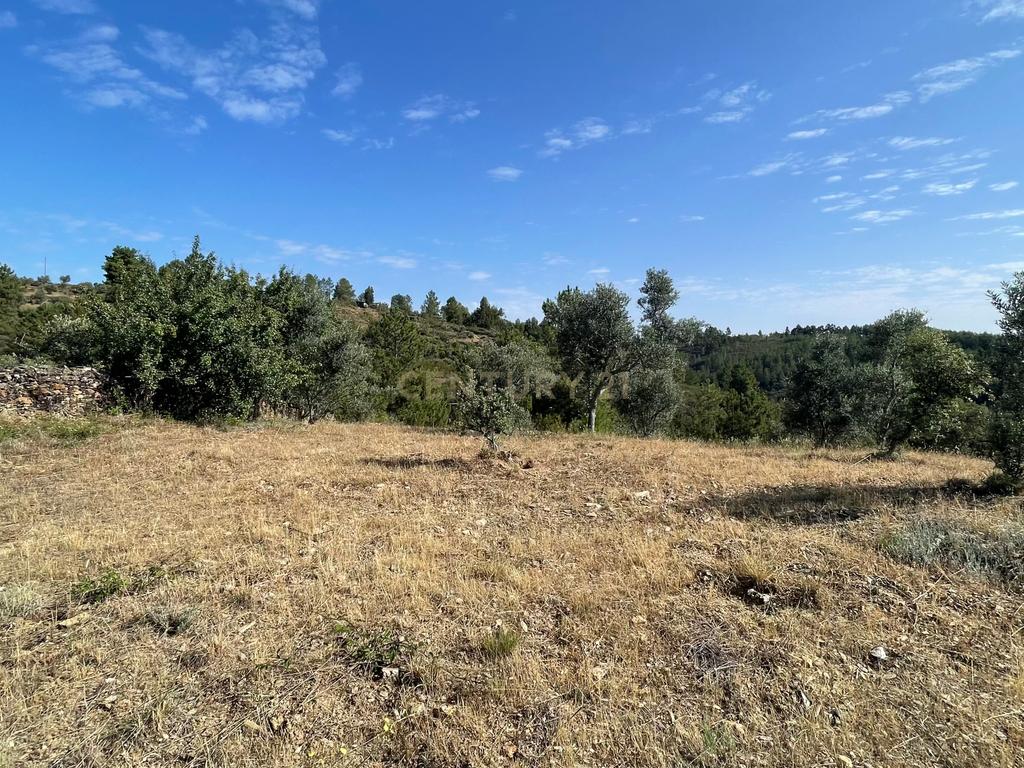 Terreno agrícola | Cebolais de Cima, Castelo Branco - Image 6