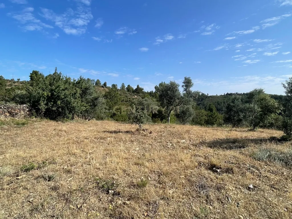 Terreno agrícola | Cebolais de Cima, Castelo Branco - Image 6