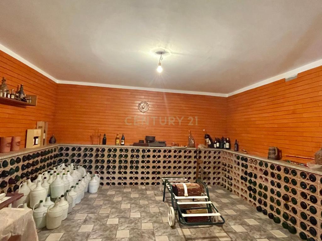 Moradia térrea com piscina e jardim próxima da cidade de Viseu - Image 12