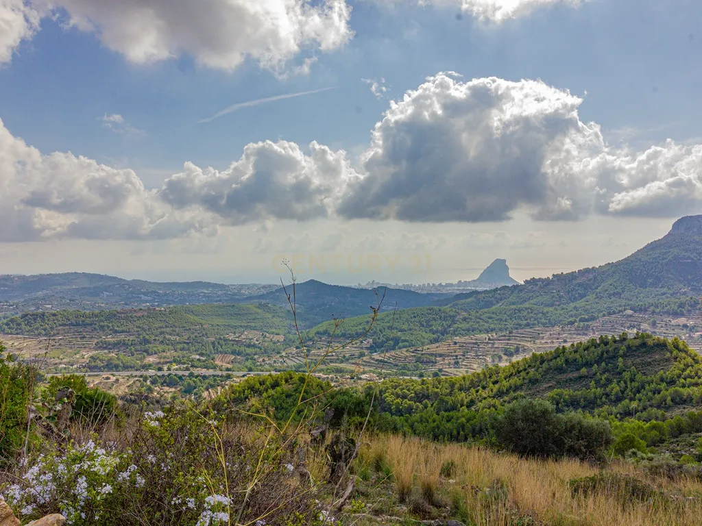 undefined - Image 13