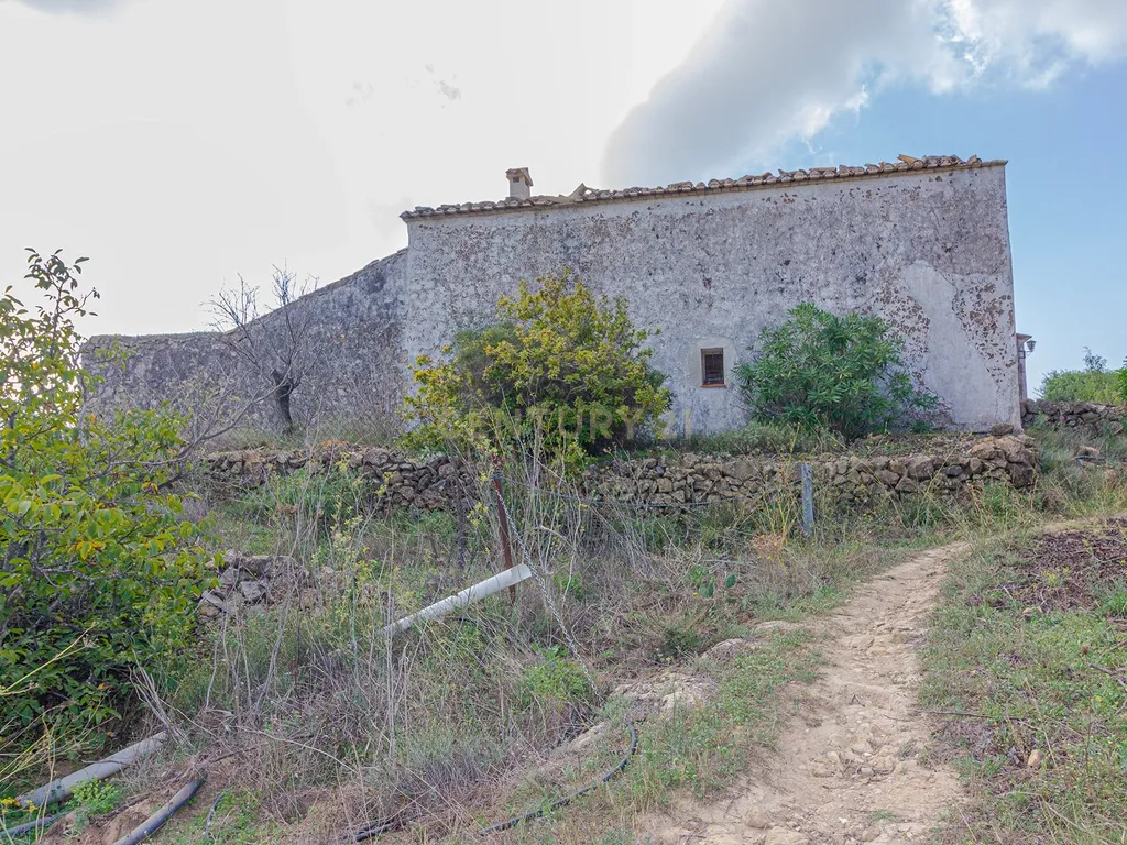 undefined - Image 12