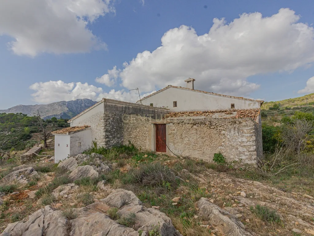 undefined - Image 11