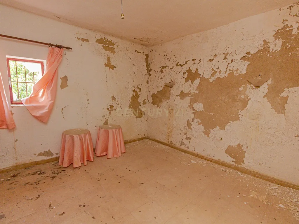 undefined - Image 7