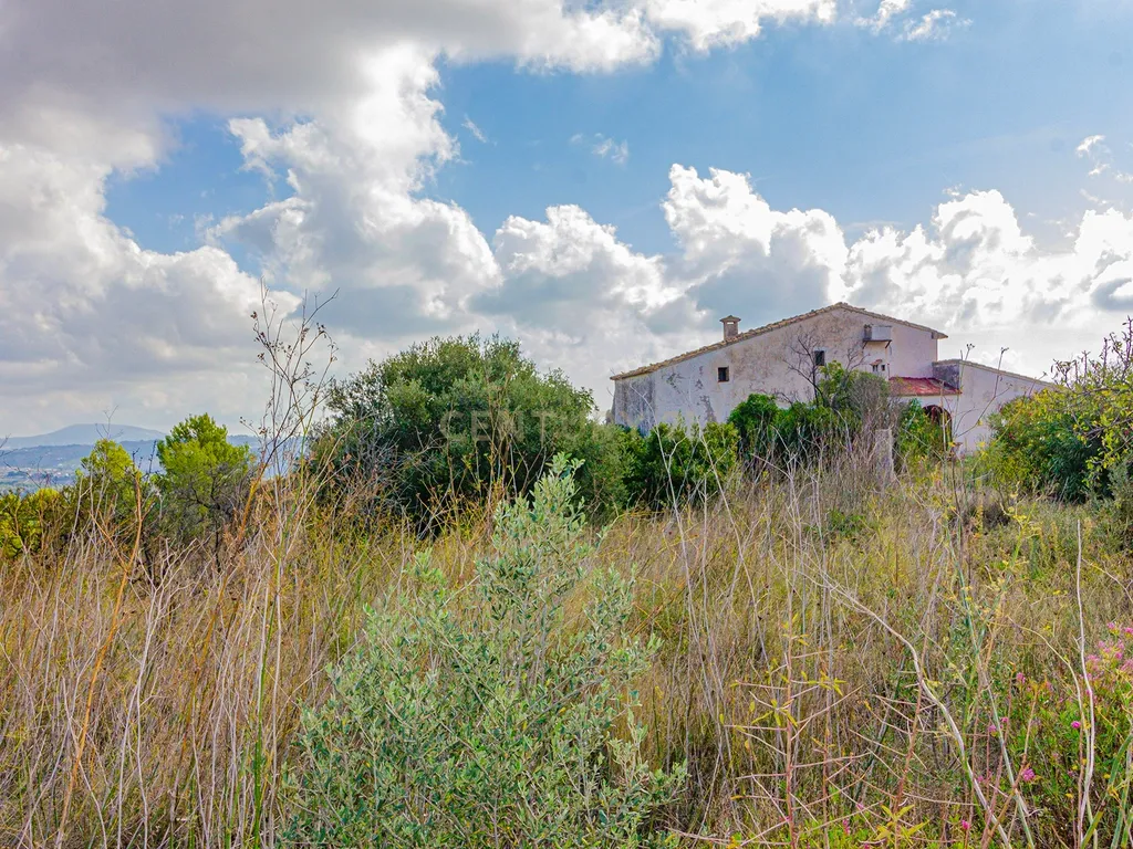 undefined - Image 8