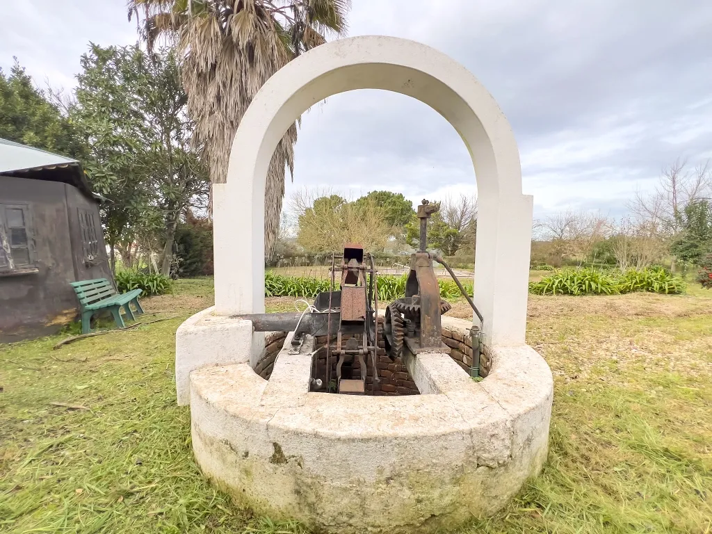Exclusiva Herdade em Mora | Évora - Image 39