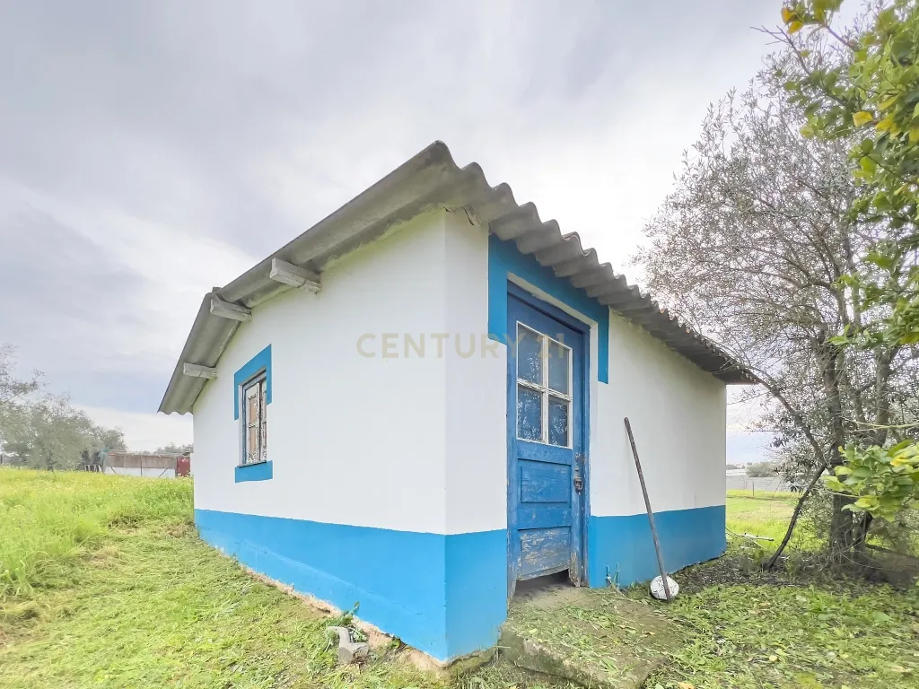 Exclusiva Herdade em Mora | Évora - Image 38