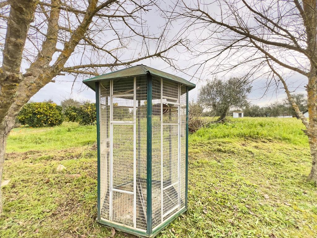 Exclusiva Herdade em Mora | Évora - Image 40