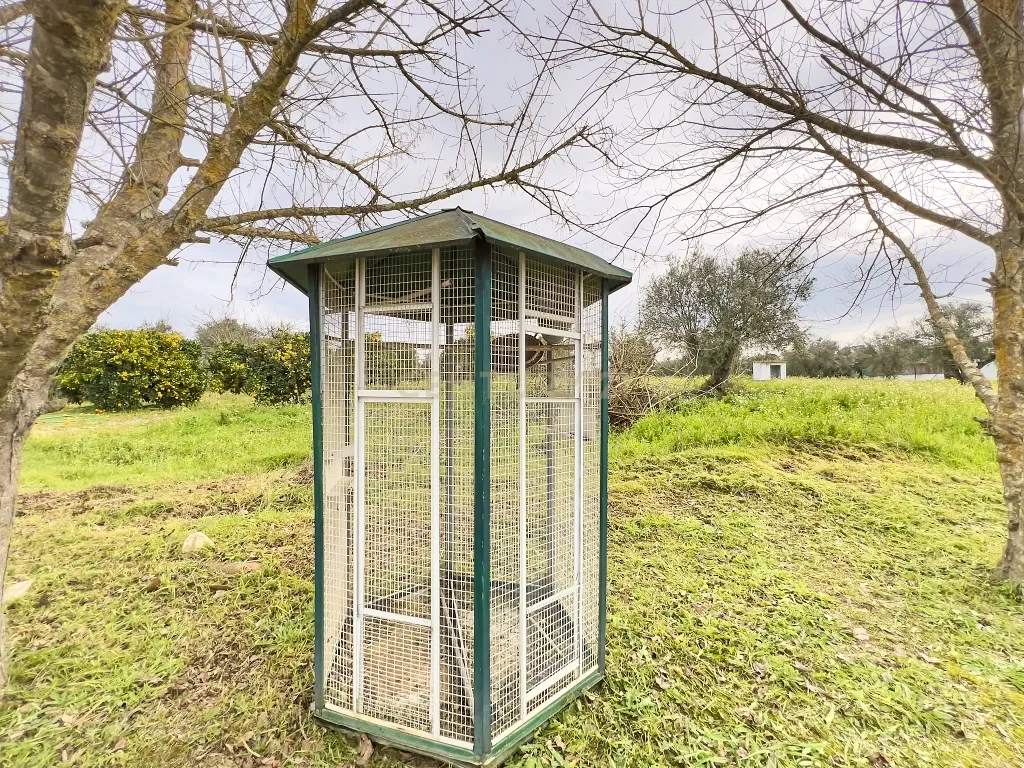 Exclusiva Herdade em Mora | Évora - Image 40