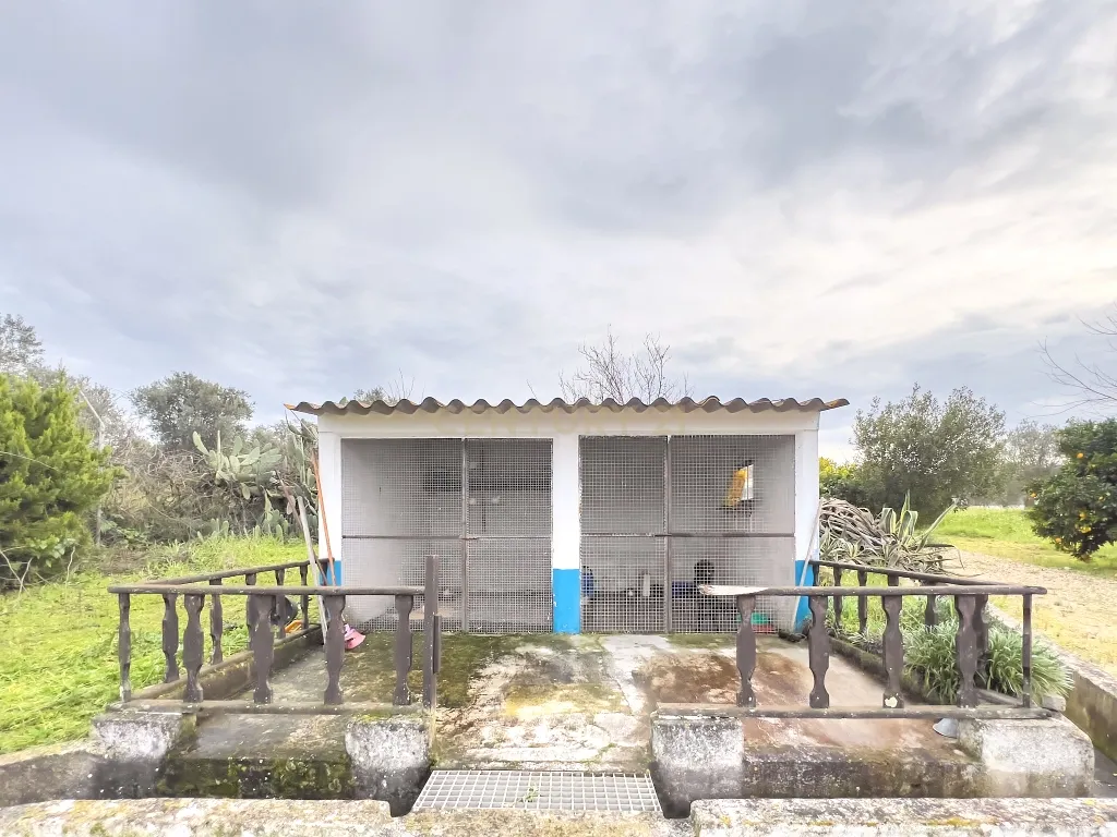 Exclusiva Herdade em Mora | Évora - Image 41