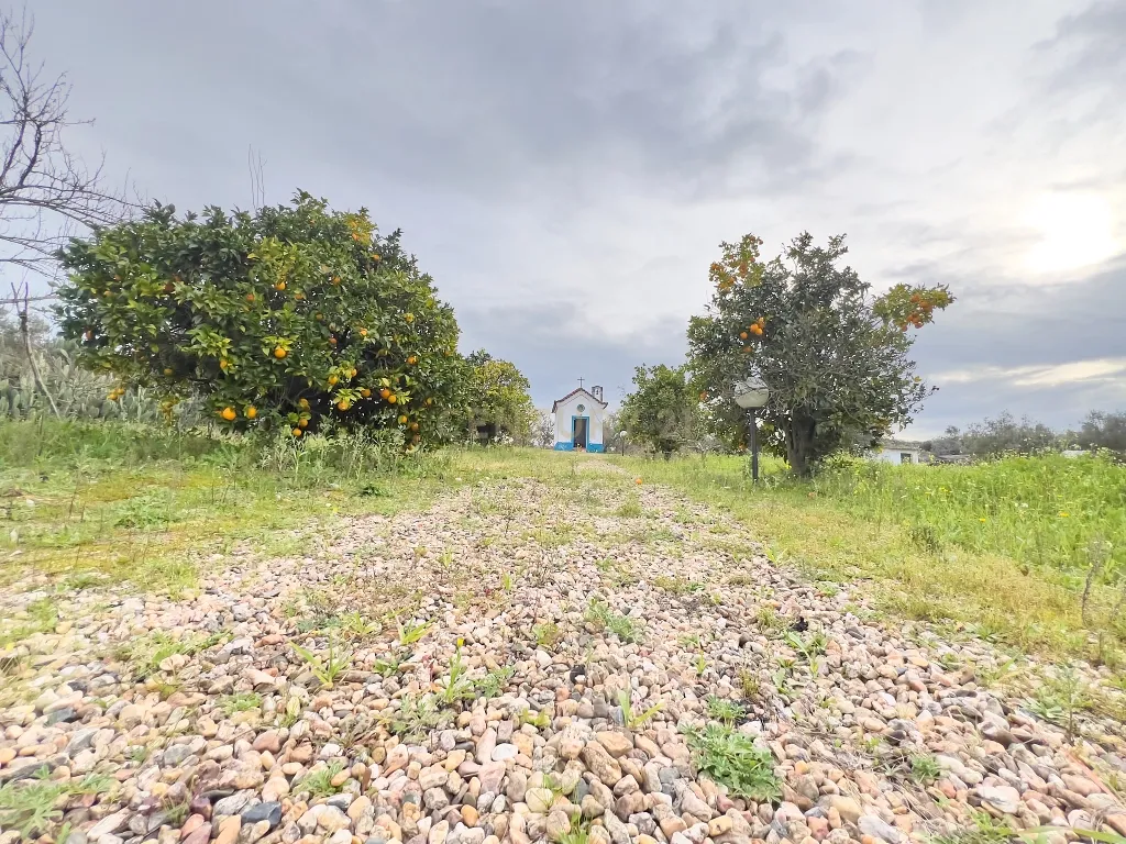 Exclusiva Herdade em Mora | Évora - Image 42