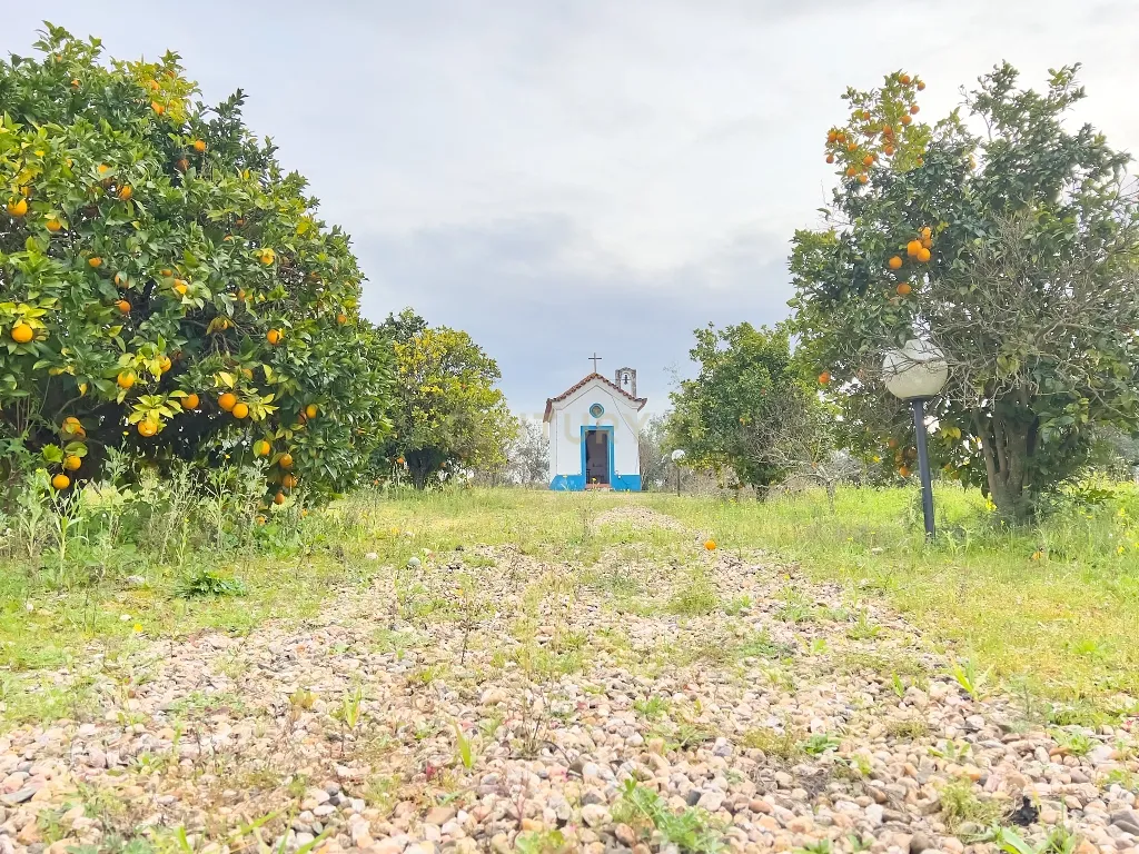Exclusiva Herdade em Mora | Évora - Image 43