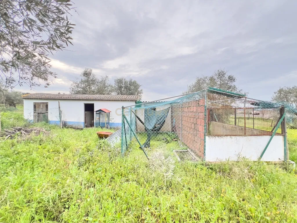 Exclusiva Herdade em Mora | Évora - Image 49
